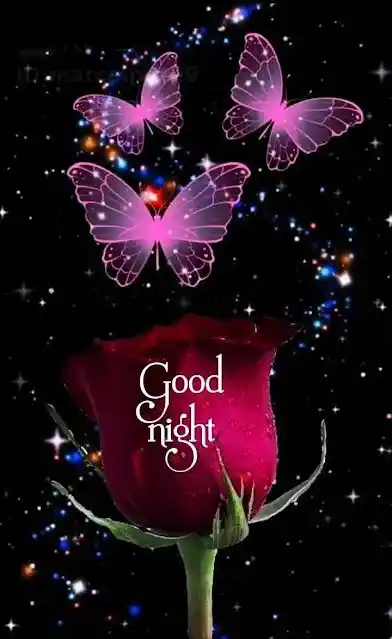 good-night-images