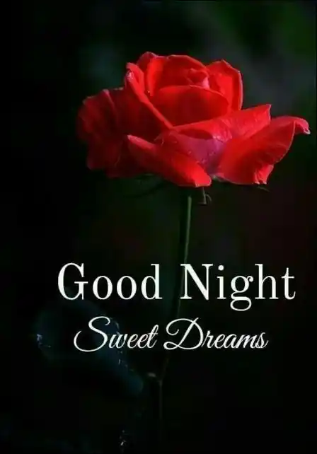 good-night-images