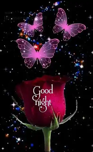 good-night-images