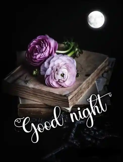 good-night-pics