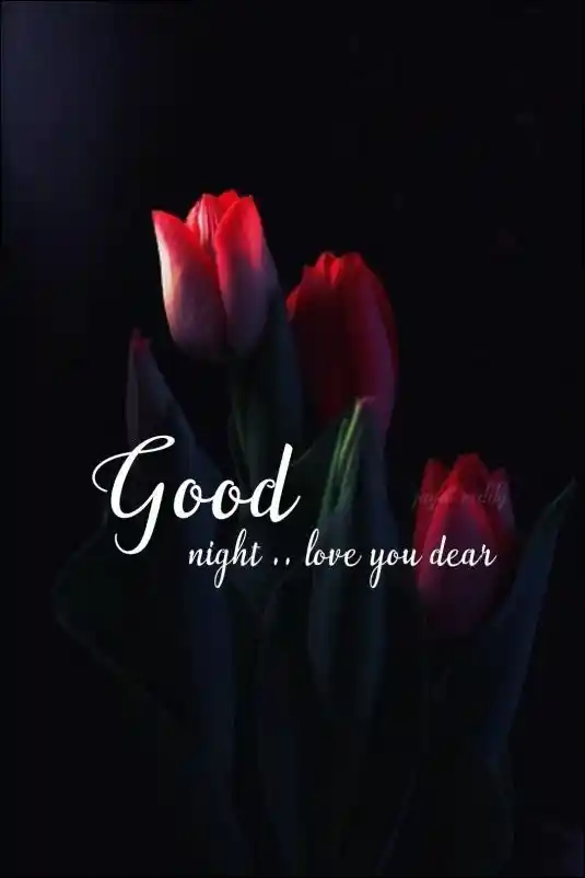 good-night-pictures