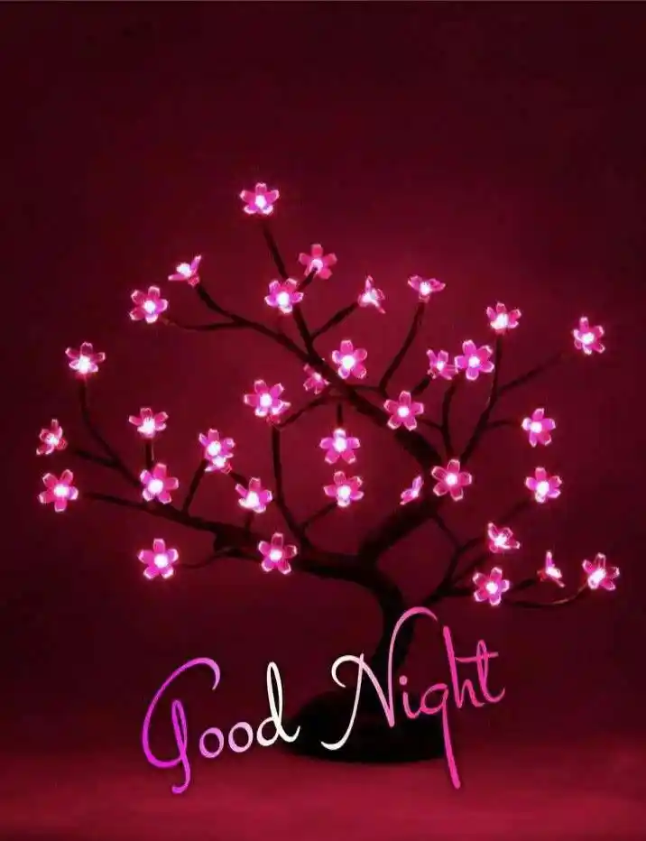 love-romantic-good-night-images