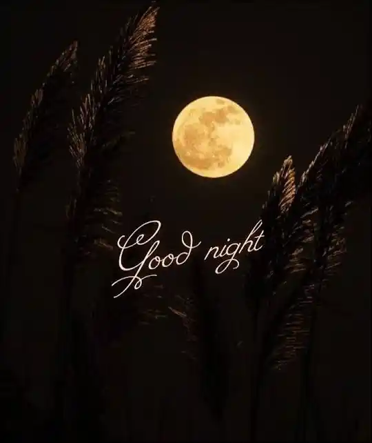 special-good-night-images