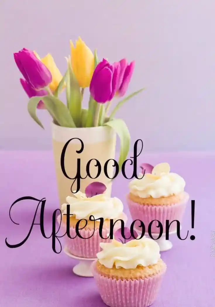 beautiful-good-afternoon-images