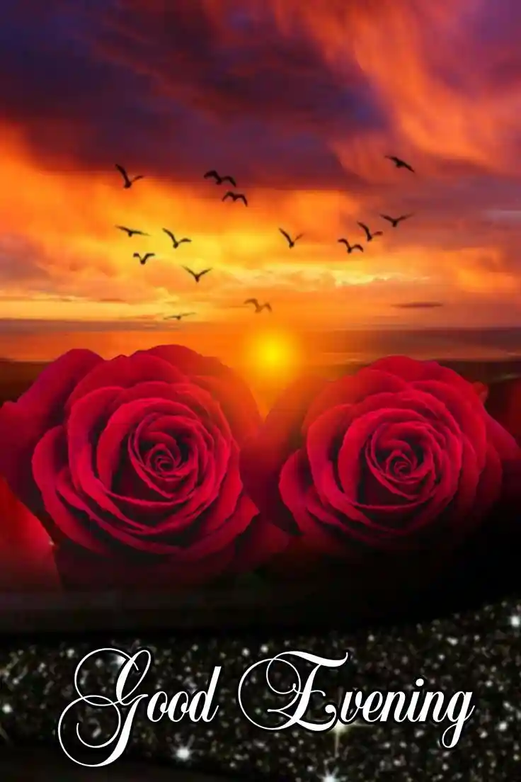 beautiful-good-evening-images beautiful-good-evening-images