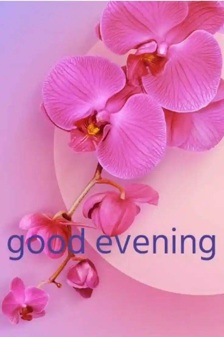 beautiful-good-evening-images beautiful-good-evening-images