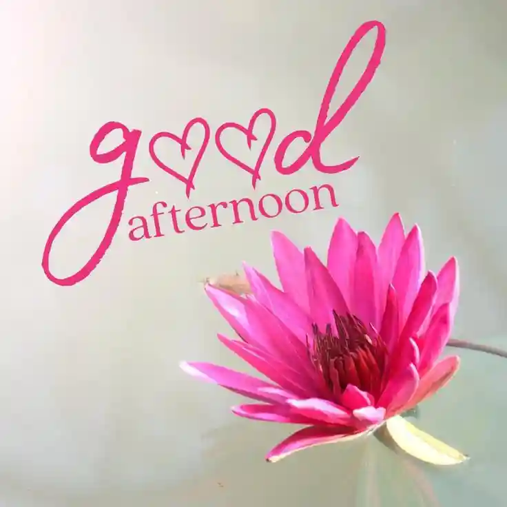 good-afternoon-flowers-images