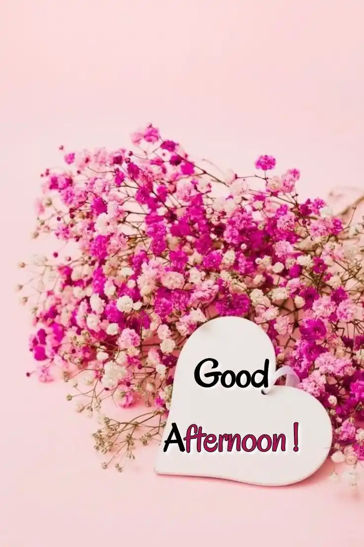 good-afternoon-images