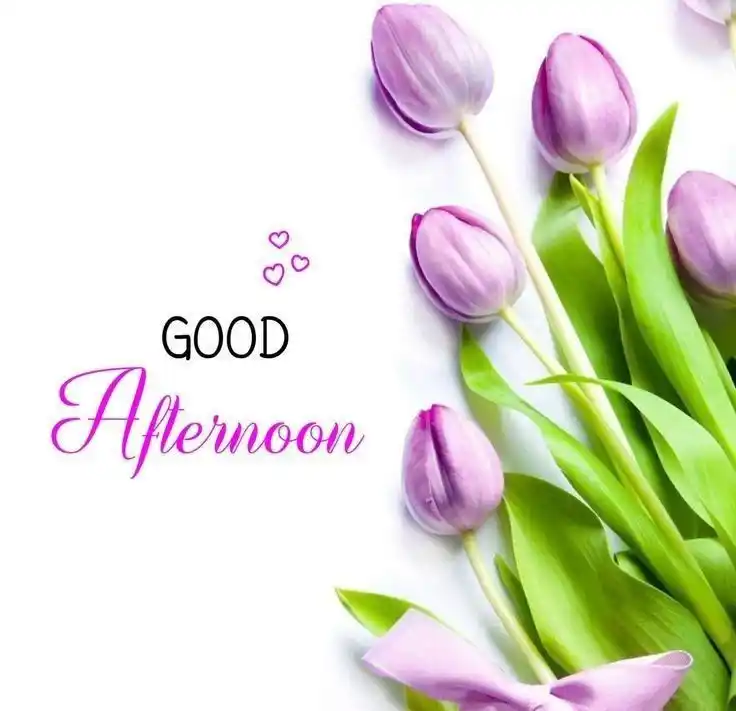 good-afternoon-images