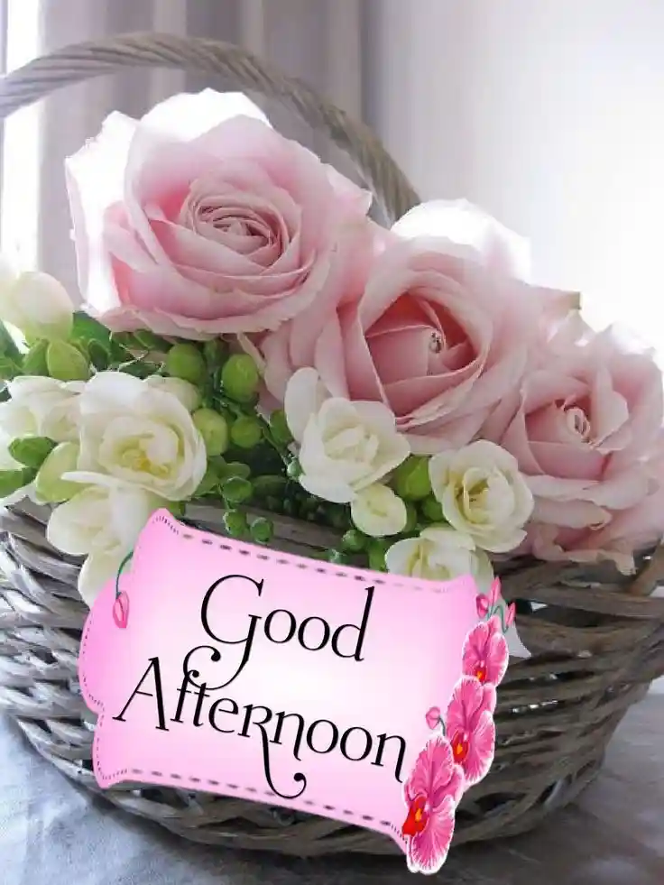 good-afternoon-photos