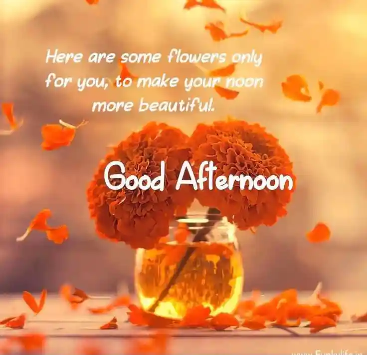 good-afternoon-pics