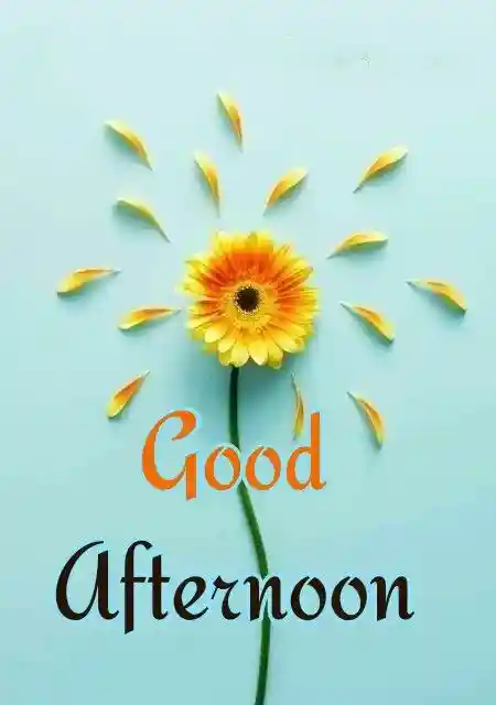 good-afternoon-pics
