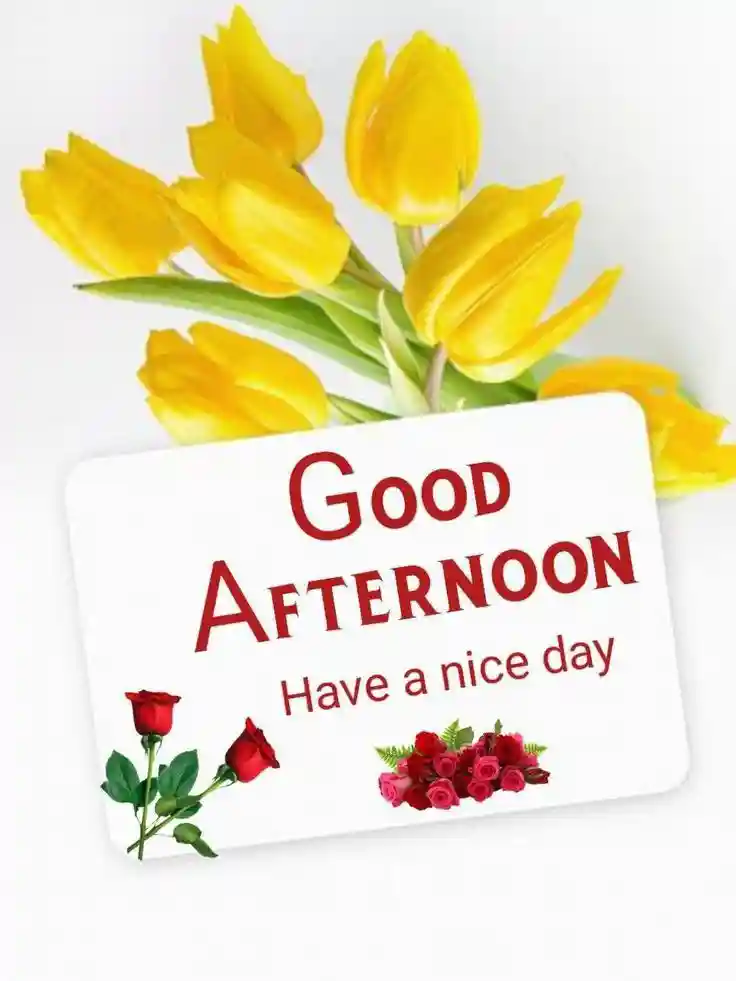 good-afternoon-pictures