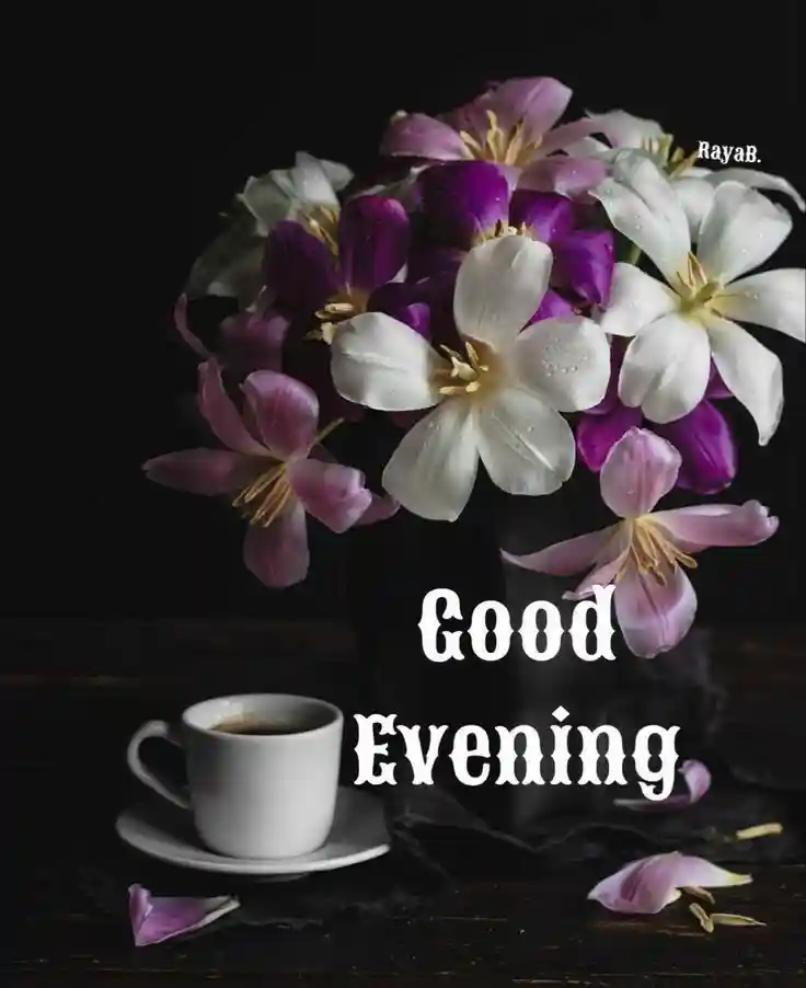 good-evening-flowers-images good-evening-flowers-images