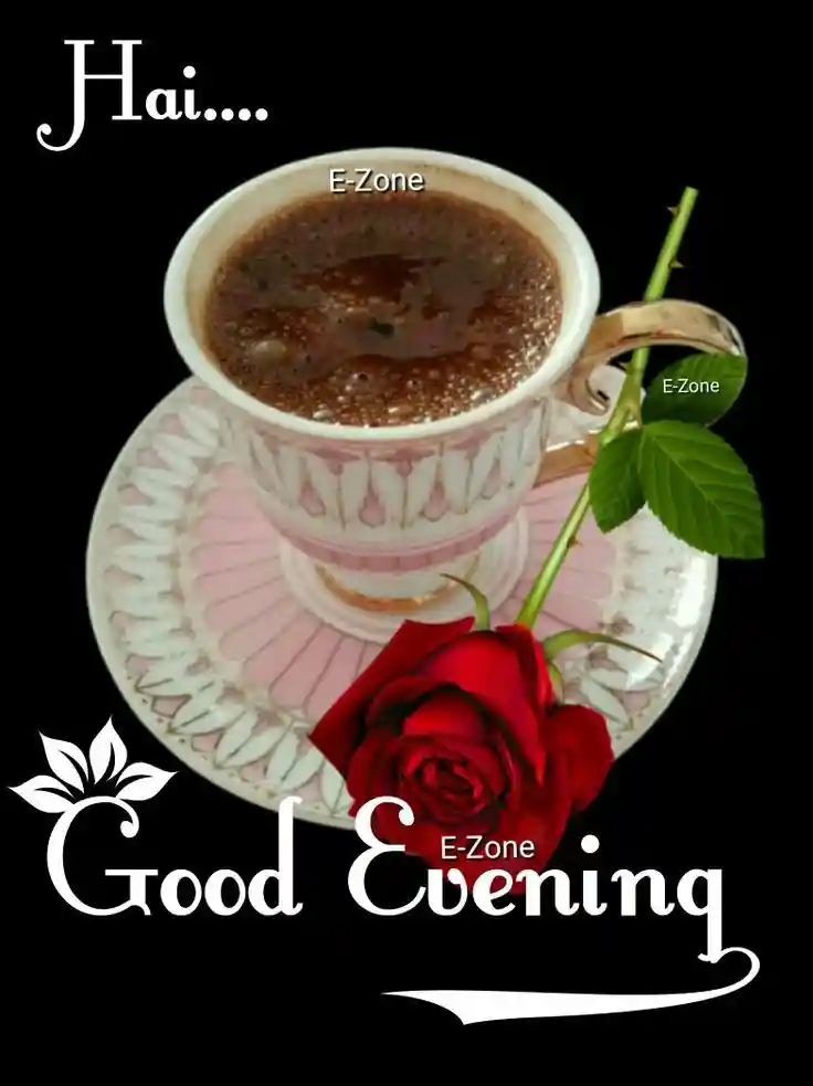 good-evening-flowers-images good-evening-flowers-images