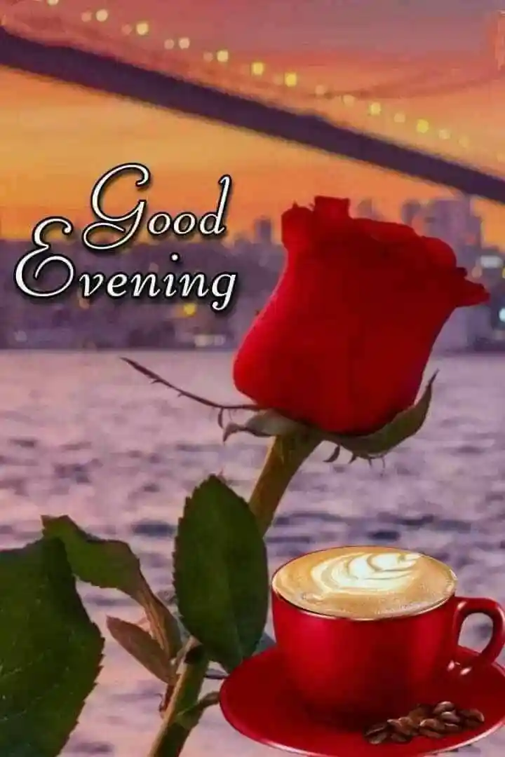 good-evening-flowers-images good-evening-flowers-images