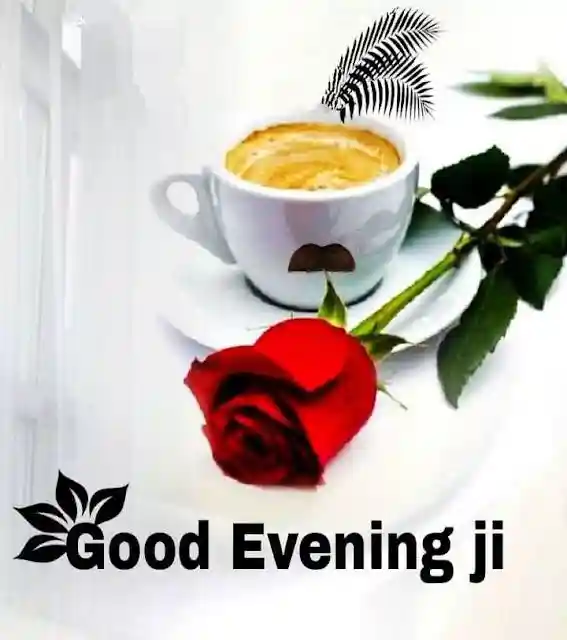 good-evening-flowers-images good-evening-flowers-images