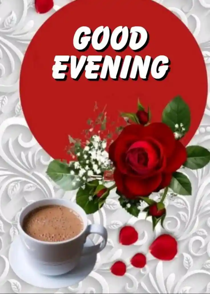good-evening-flowers-images good-evening-flowers-images