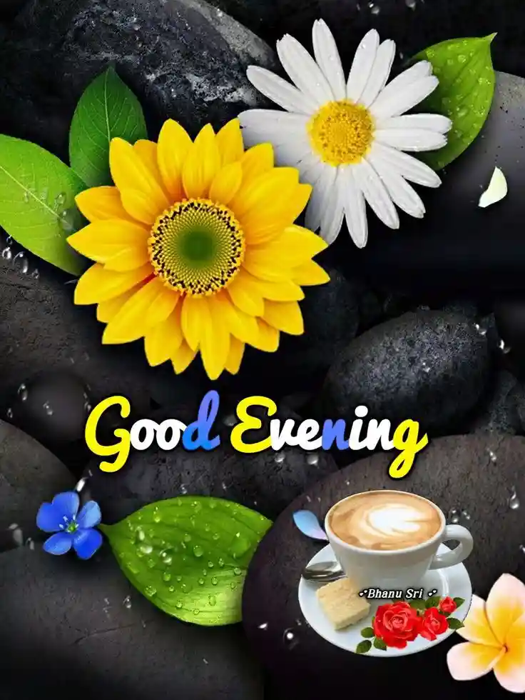 good-evening-images-for-whatsapp good-evening-images-for-whatsapp