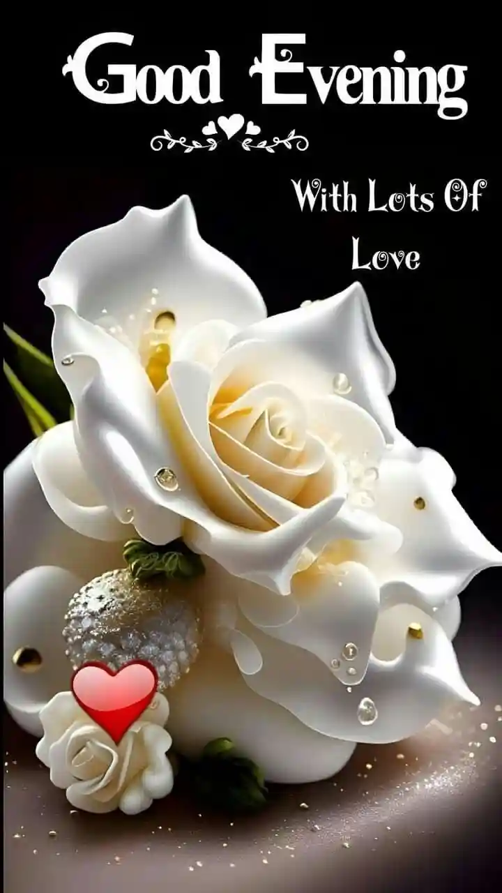 good-evening-images-for-whatsapp good-evening-images-for-whatsapp
