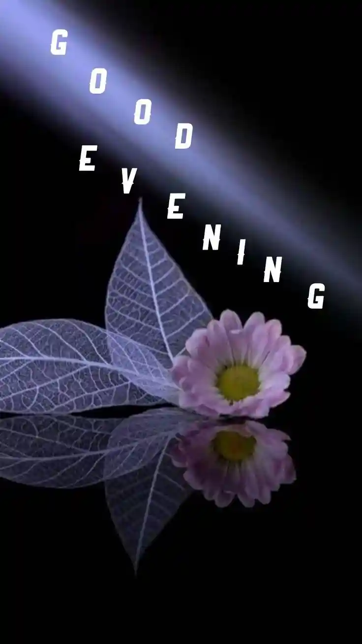 good-evening-images-for-whatsapp good-evening-images-for-whatsapp