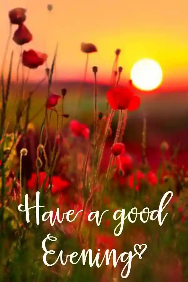good-evening-images-for-whatsapp good-evening-images-for-whatsapp