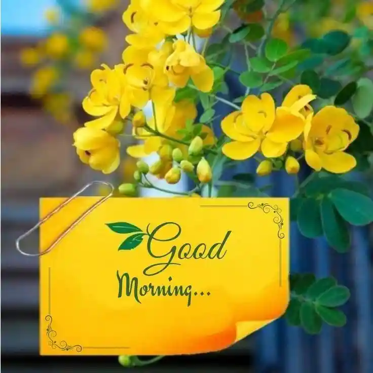 good-morning-photos