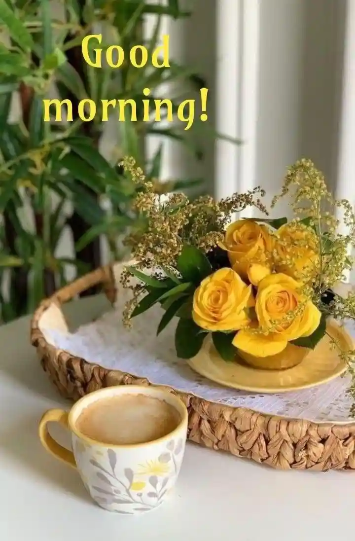 good-morning-photos