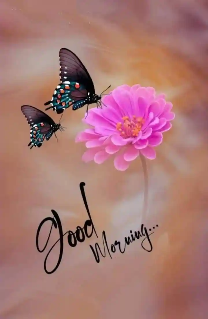 good-morning-pics
