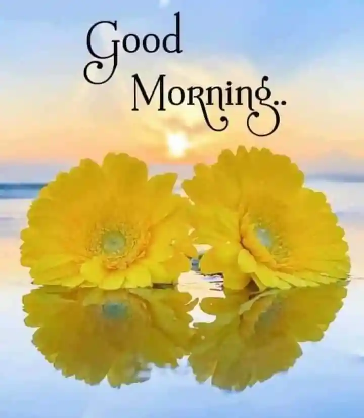 good-morning-pics