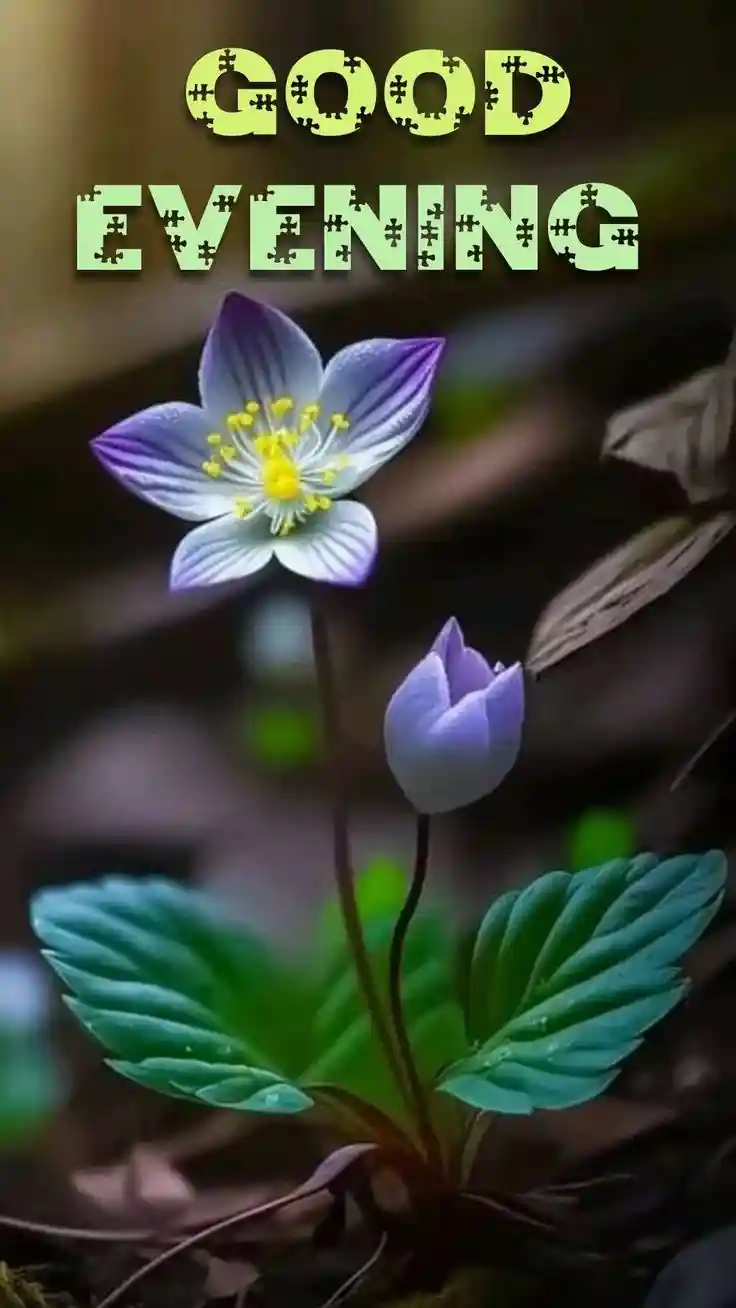 instagram-good-evening-images instagram-good-evening-images