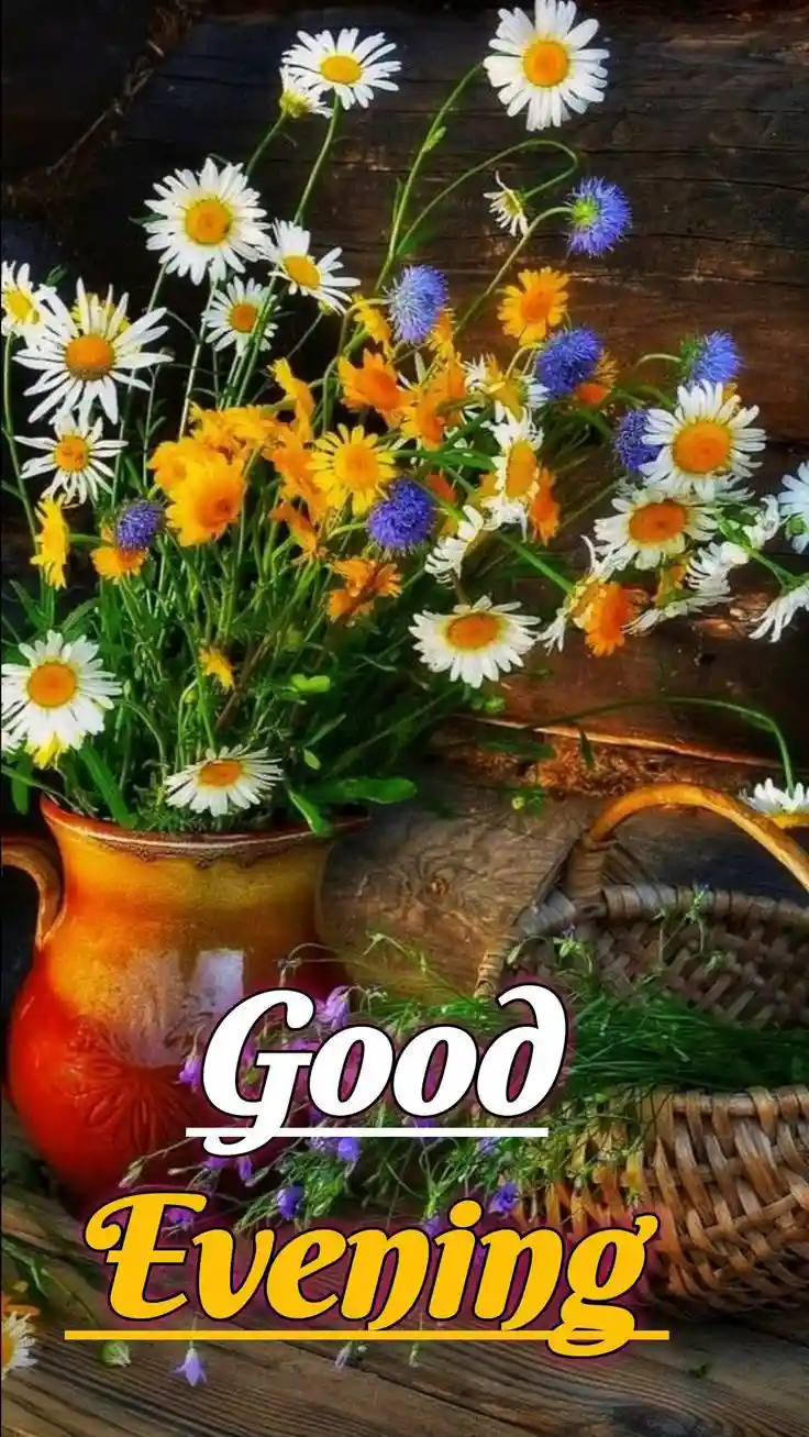 instagram-good-evening-images instagram-good-evening-images