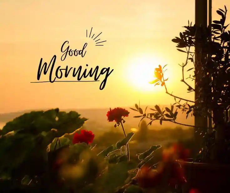 instagram-good-morning-images