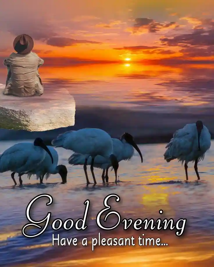 kiss-romantic-good-evening-images kiss-romantic-good-evening-images