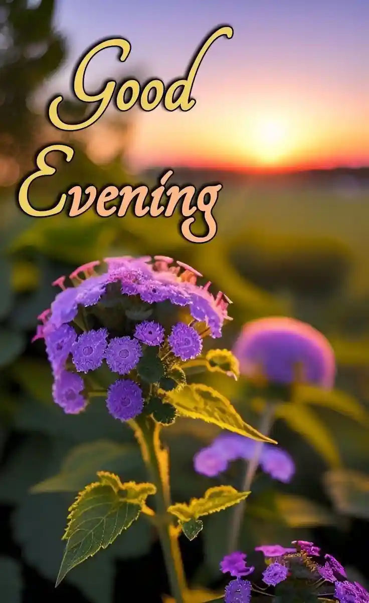 kiss-romantic-good-evening-images kiss-romantic-good-evening-images