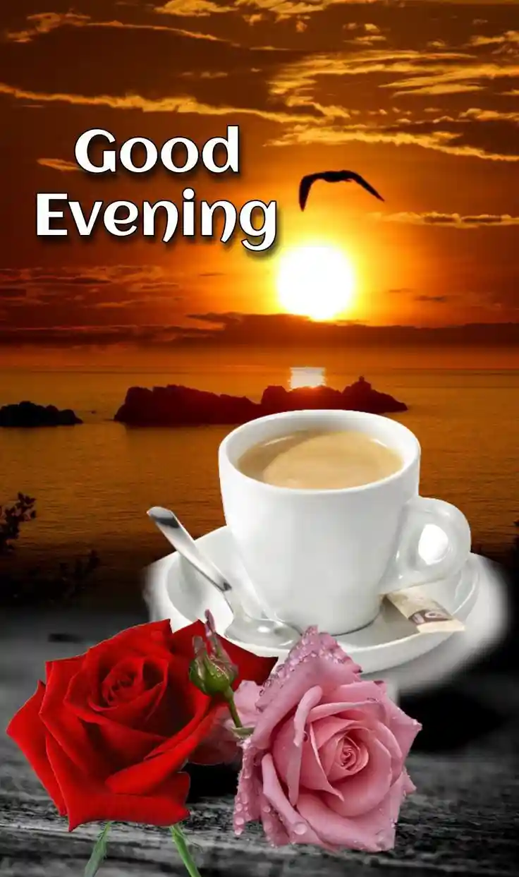 lgood-evening-love-images lgood-evening-love-images