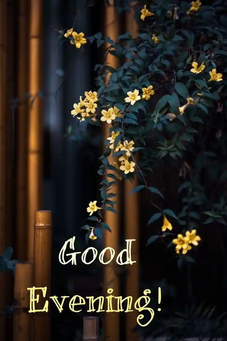 lgood-evening-love-images lgood-evening-love-images