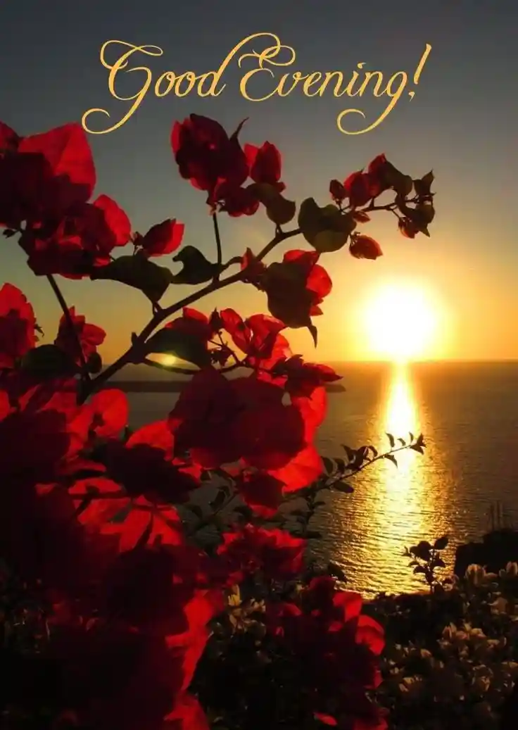 lgood-evening-love-images lgood-evening-love-images
