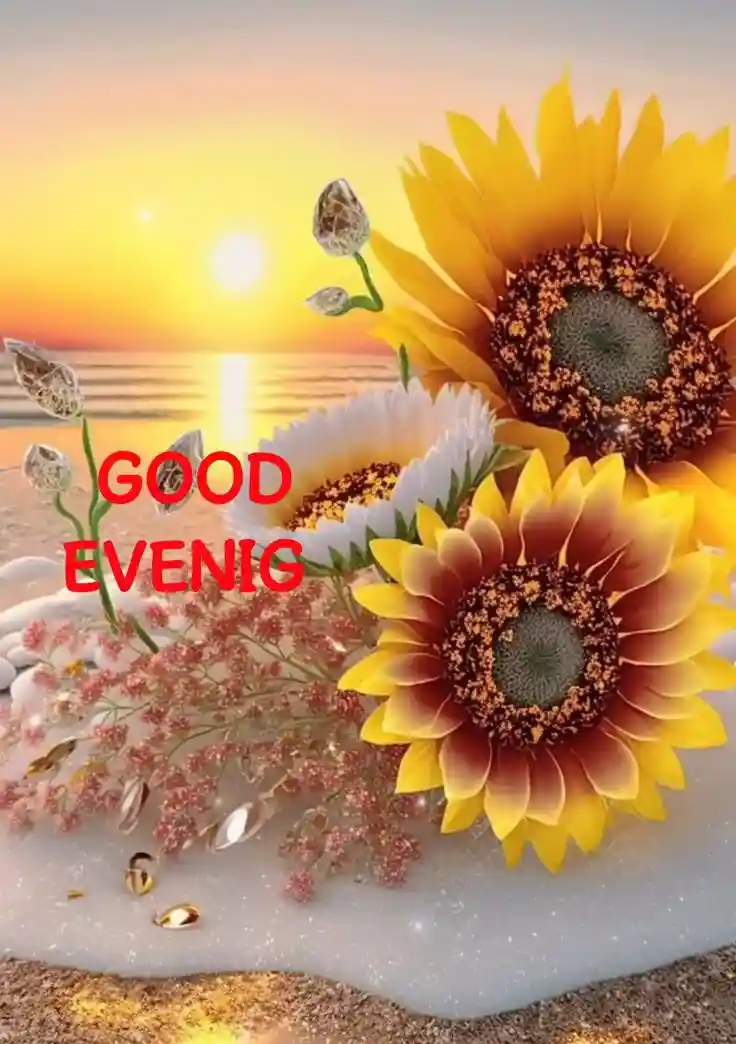 lgood-evening-love-images lgood-evening-love-images