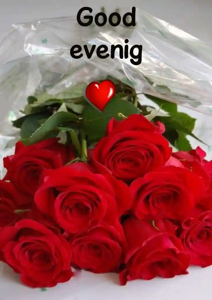 lgood-evening-love-images lgood-evening-love-images