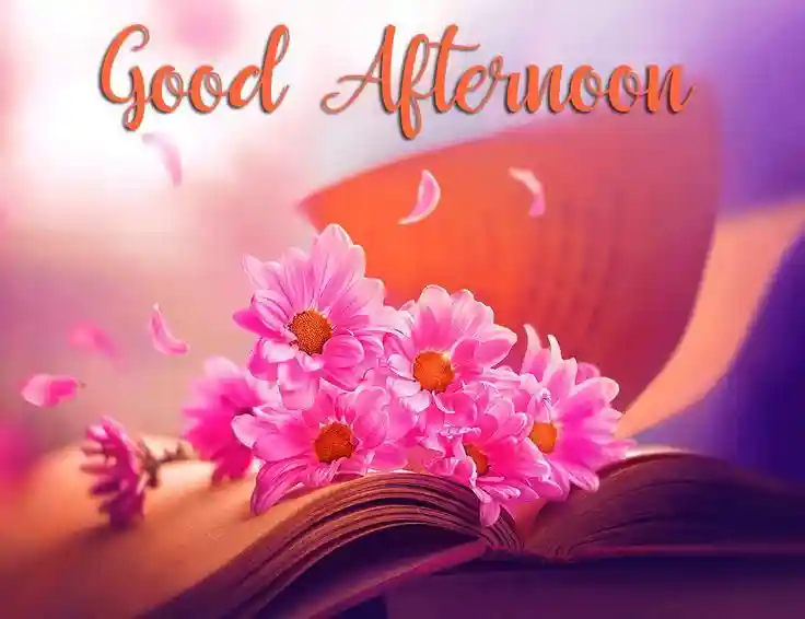 lovely-good-afternoon-images