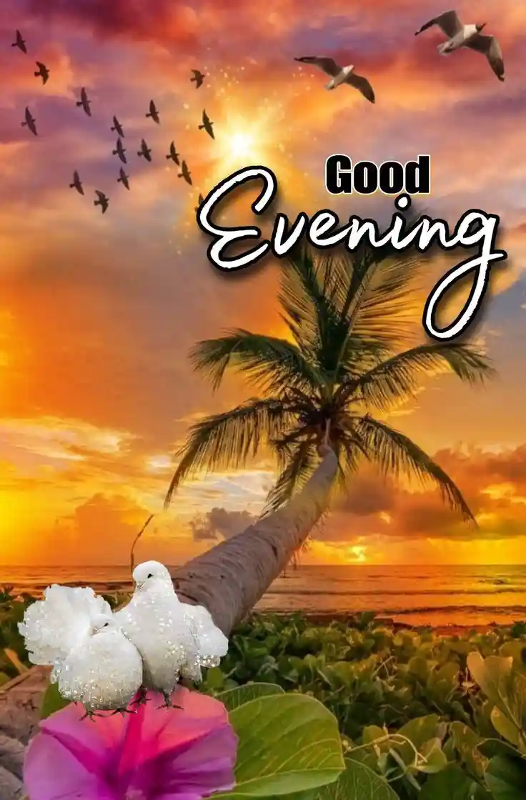 lovely-good-evening-images lovely-good-evening-images