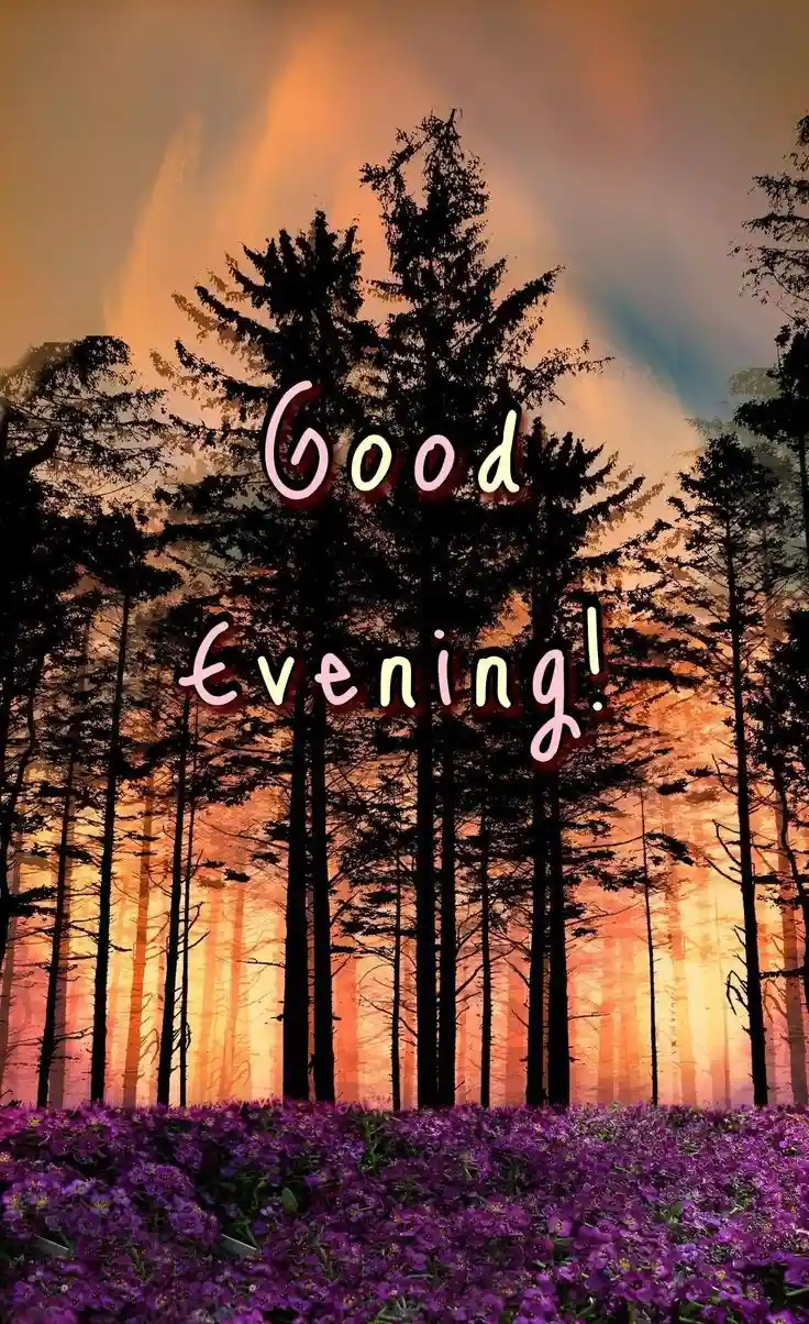 lovely-good-evening-images lovely-good-evening-images