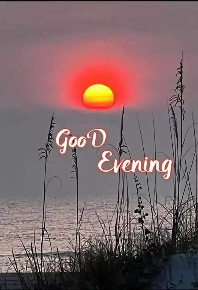 lovely-good-evening-images lovely-good-evening-images