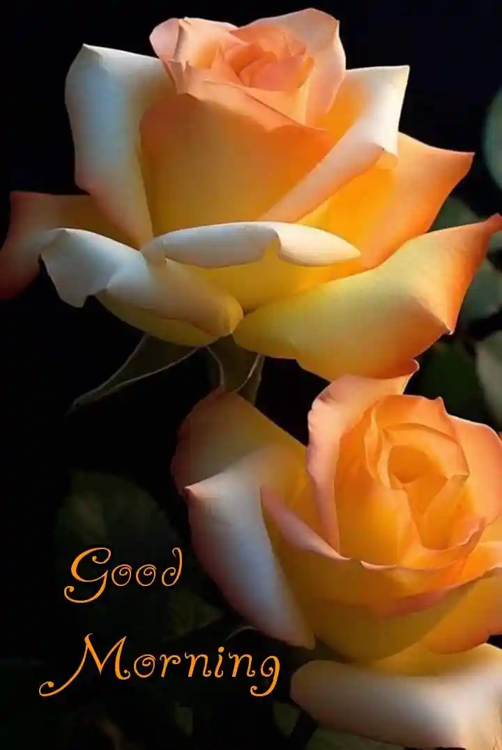 lovely-good-morning-images