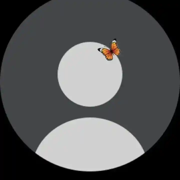 no-love-dp