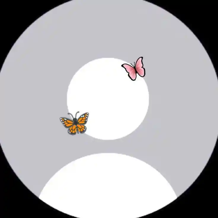 whatsapp-no-dp