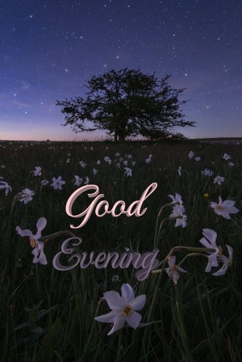 Good Evening Images,Beautiful Good Evening Images,Lovely Good Evening Images,Good Evening Love Images,Good Evening Photos Good Evening Images